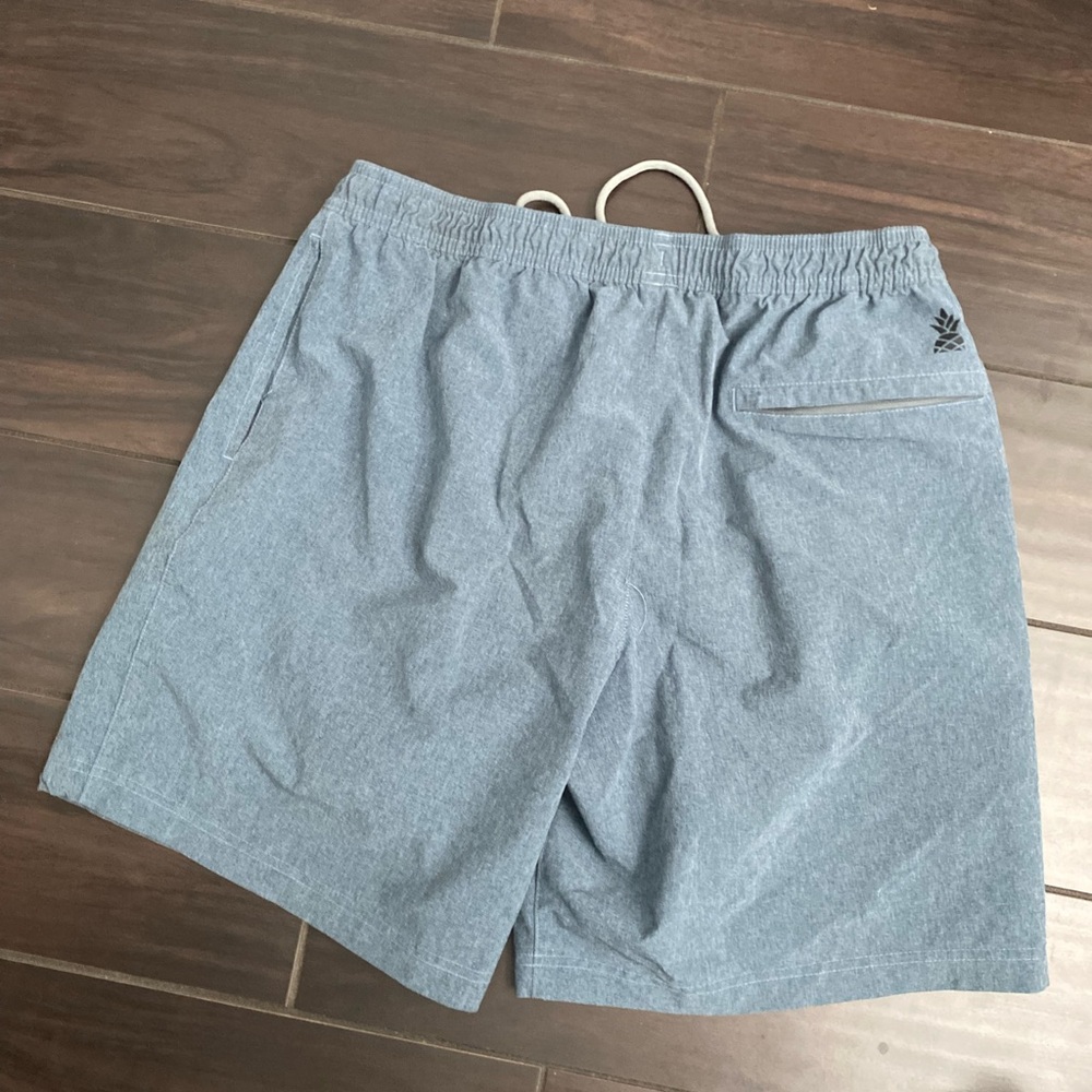 Men’s Chubbies Ultimate Training shorts -  w/ Liner